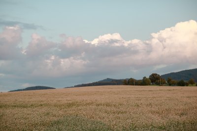 _MGL5404.jpg